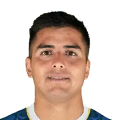 Álvaro Alfredo Alejandro Madrid Gaete