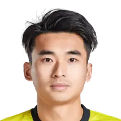 Lei Wenjie