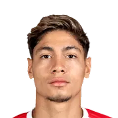Bryan David Castrillón Gómez
