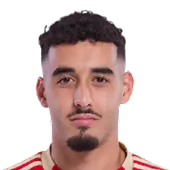 Ilyes Ziani