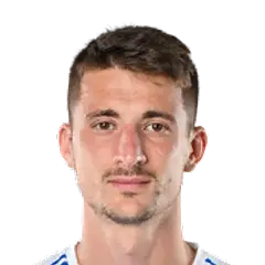 Danilo Mitrović