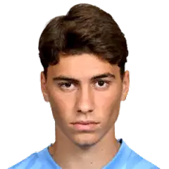 Manfredi Nespola