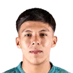 Jhonny Santiago Cuiza Cayo