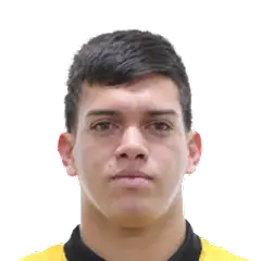 Anderson Leguizamón