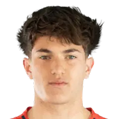 Luka Fuster