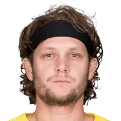 Alen Halilović