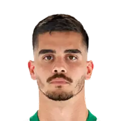 André Miguel Valente da Silva