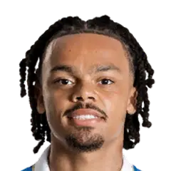 Lucas Dominique Noubi Ngnokam