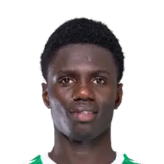 Cheikh Fall