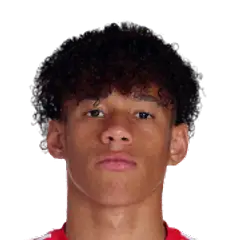 Diogo Filipe Spencer Marques