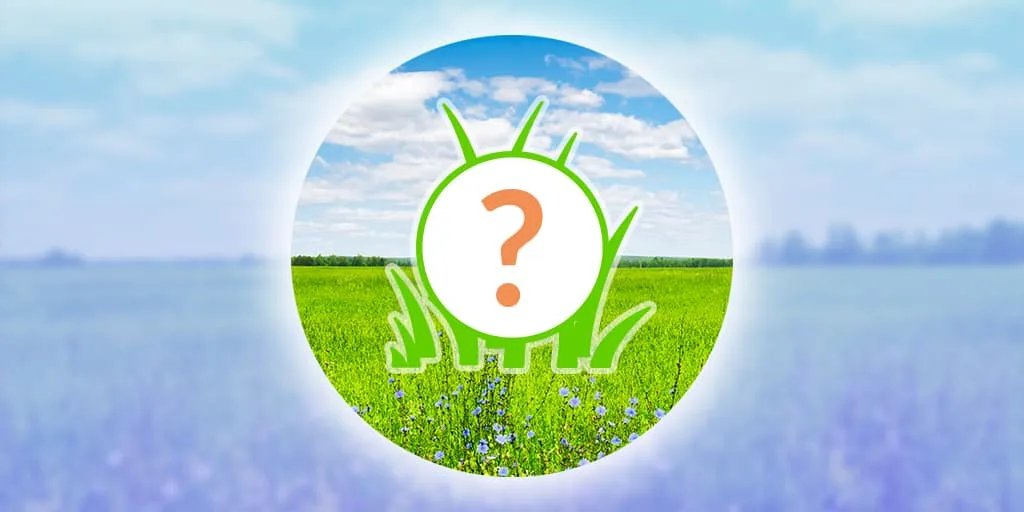 Mystery Pokémon Spotlight Hour