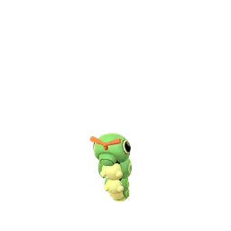 Caterpie