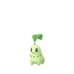 Chikorita