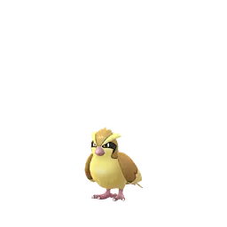Pidgey