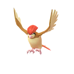 Pidgeotto