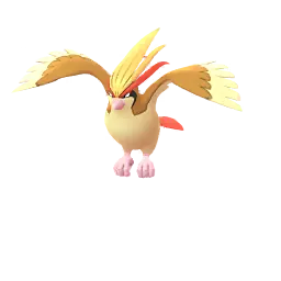 Pidgeot