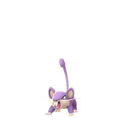 Rattata
