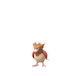 Spearow