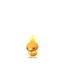 Torchic
