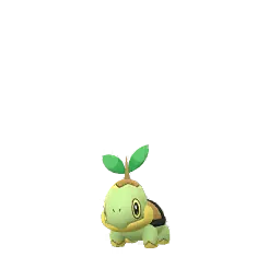 Turtwig