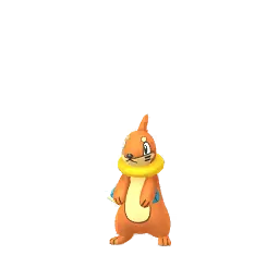 Buizel