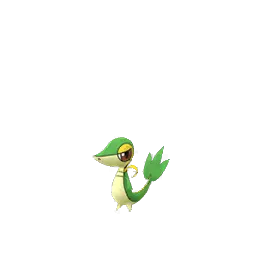 Snivy
