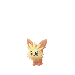 Lillipup
