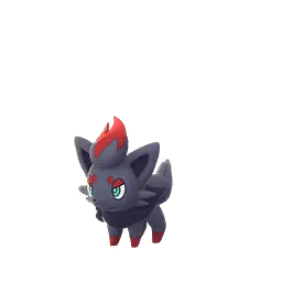 Zorua