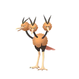 Dodrio